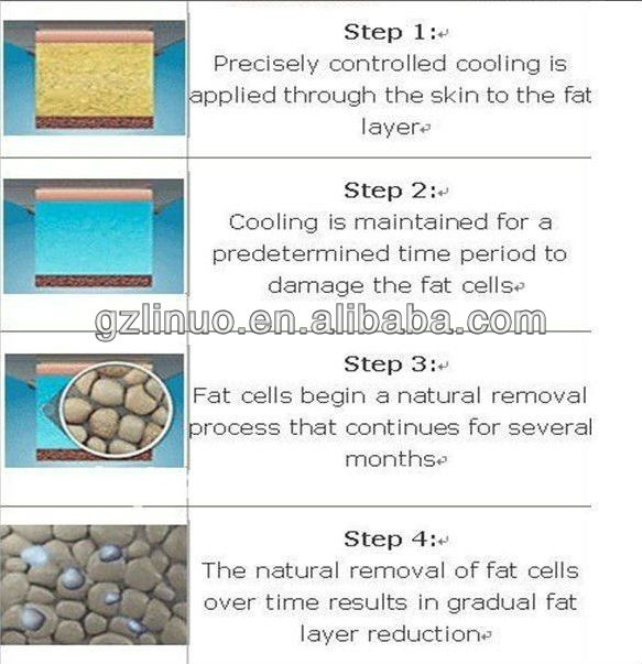 fat reduce process.jpg