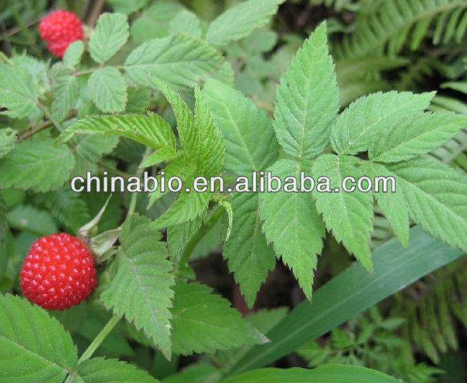 2014 New Raspberry Ketone