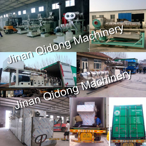 Qidong SPH-90 floating & sinking fish feed pellets machine