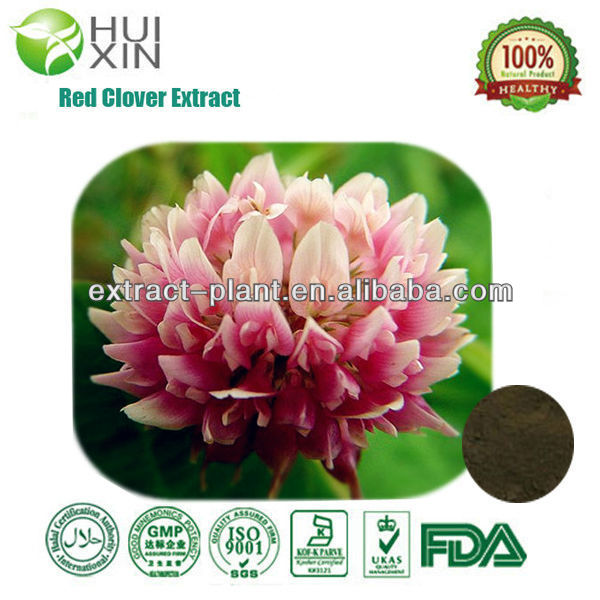 red clover extract