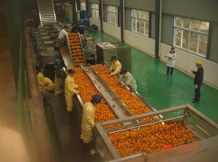 Automatic 3t/h industrial best citrus orange juicer machine supplier