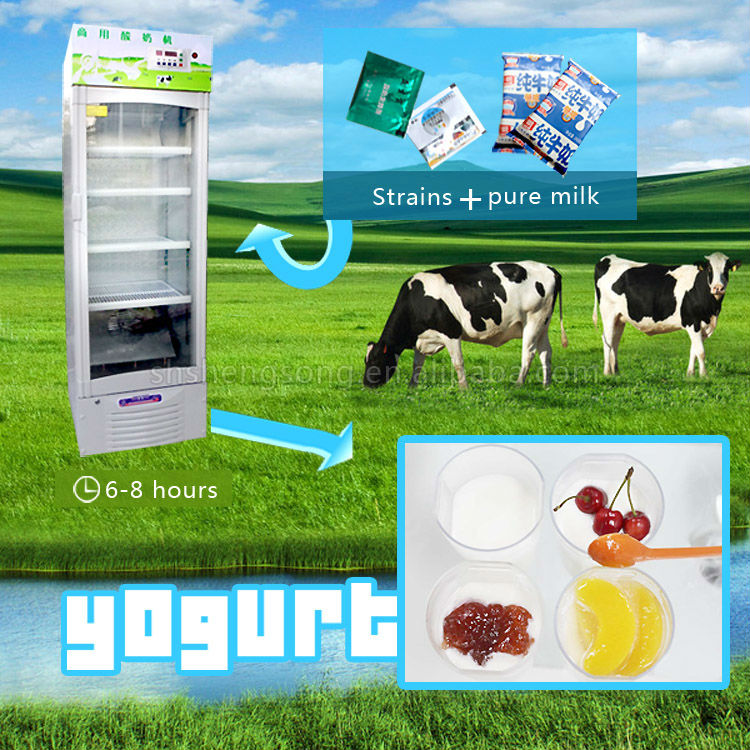 new type frozen yogurt (CE ISO9001 BV)