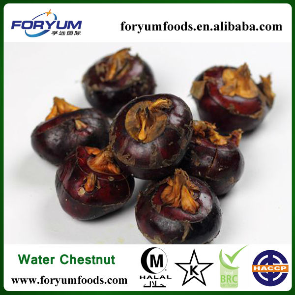 Frozen Water Chestnut Diced