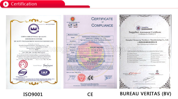 new type frozen yogurt (CE ISO9001 BV)