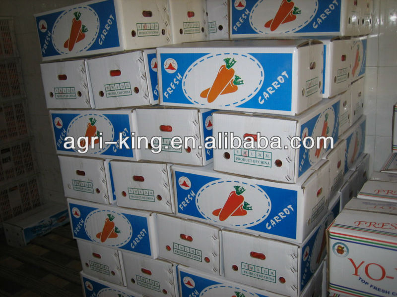 Fresh red carrot new havested in 2013