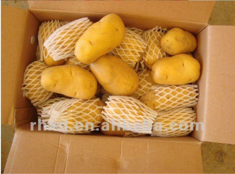fresh potato importers in dubai,price of fresh potatoes