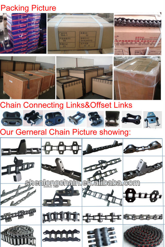 Shenlong Chain Picture three.jpg