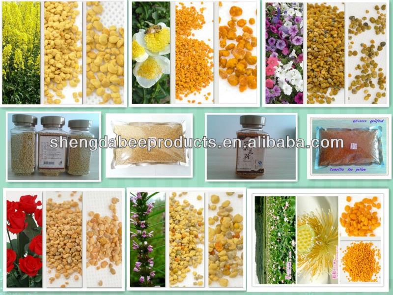 China bulk bee pollen supplement