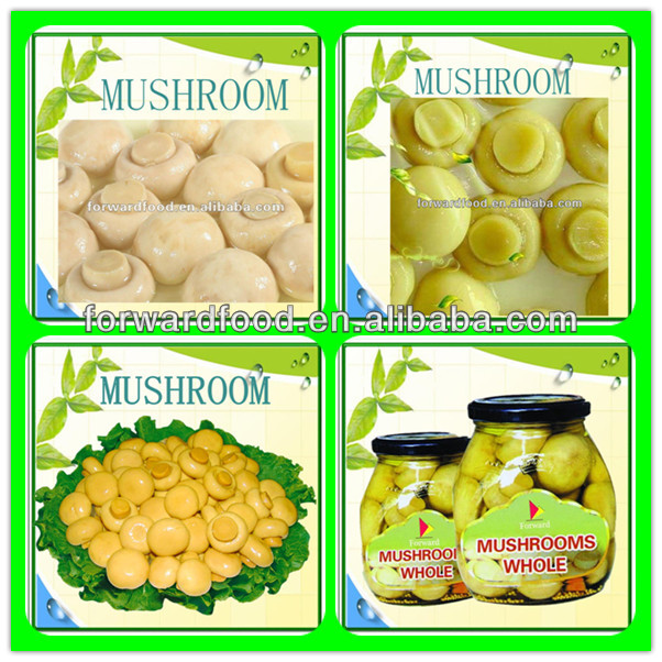 800g canned whole button mushroom in brine fresh white button mushroom