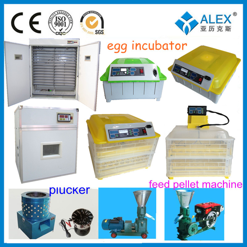 multi-functional temperature for hatching chicken eggs egg incubator 