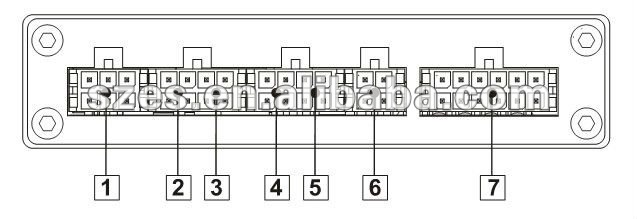Rear Panel