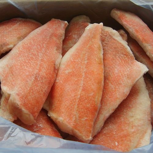 frozen Atlantic red fish filelts