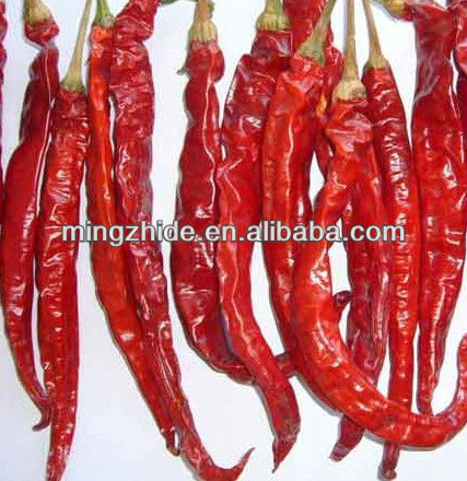 import export red chilli/pepper