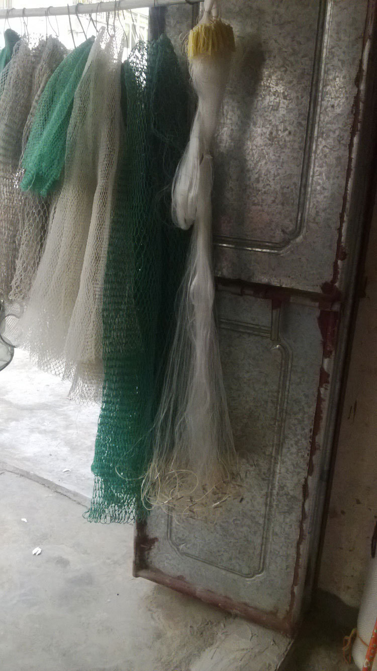 WP_20131013_007.jpg