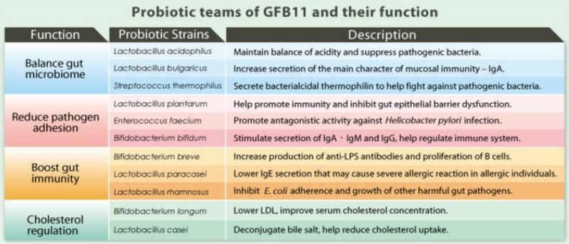 LABCOT GFB11 lactobacillus probiotics powder supplier