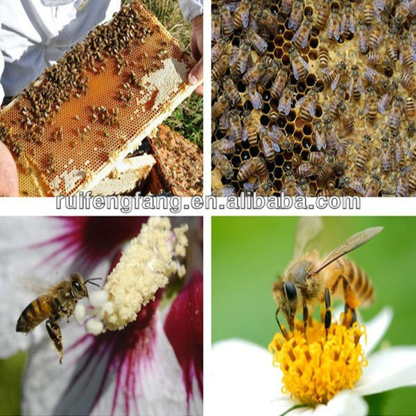 bulk 2014 new nautral honey bee pollen