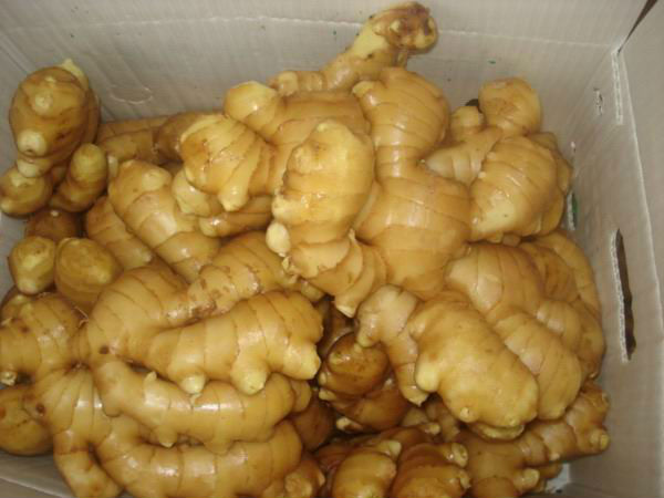 cheap frozen food frozen ginger