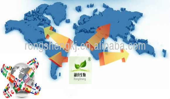 Kosher Pure Green Coffee Bean Extract.Free Sample Green Coffee Bean Extract Powder.Green Coffee Extract