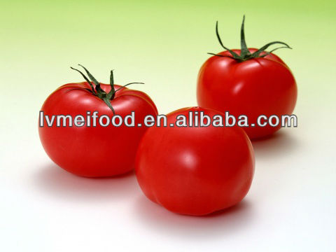 bulk tomato paste 36-38% Brix