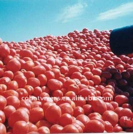 all types of canned sardine fish foods