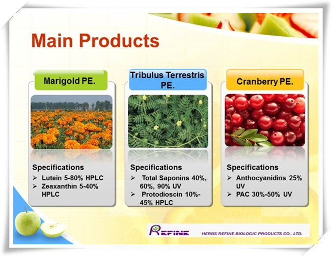 Grape Seeds Extract