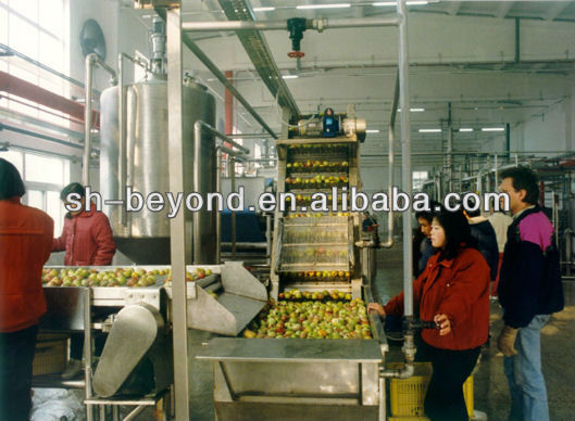 complete set of apple processing line