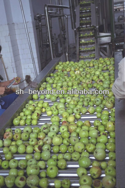complete set of apple processing line