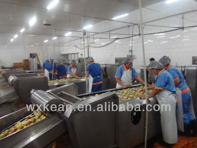 Automatic peach cutting machine