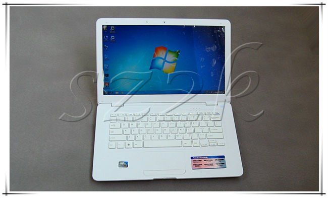 Hot Selling 14 Inch Mini Laptop with Intel Atom D425/D25001.80Ghz +2GB ROM+320GB HDD+HDMI+1.3M Camera+Flash 11.1 supported