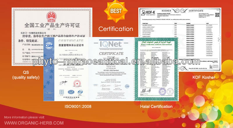 Green Tea Powder Extract