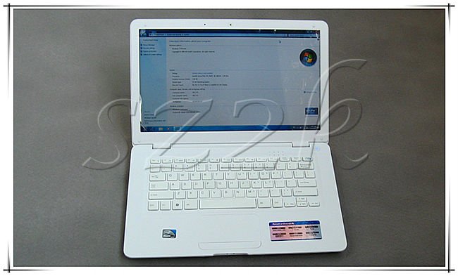 Hot Selling 14 Inch Mini Laptop with Intel Atom D425/D25001.80Ghz +2GB ROM+320GB HDD+HDMI+1.3M Camera+Flash 11.1 supported