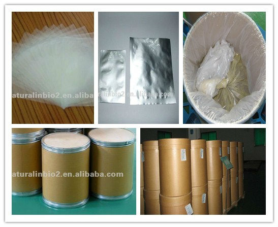 instant apple tea powder for drinking
