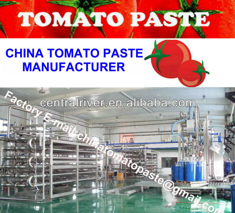 Tomato paste 36-38 Brix Cold break 2013 Crop