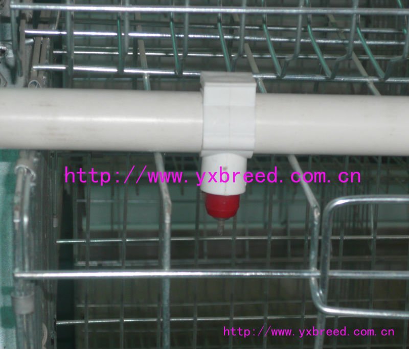 Double cold galvanized layer chicken cage