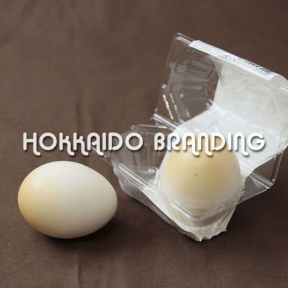 Kashiwa Smoked Eggs,Japan price supplier 21food