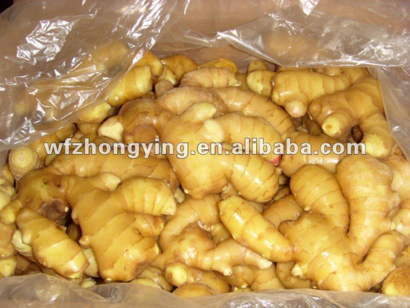 new crop half air dry ginger for sale
