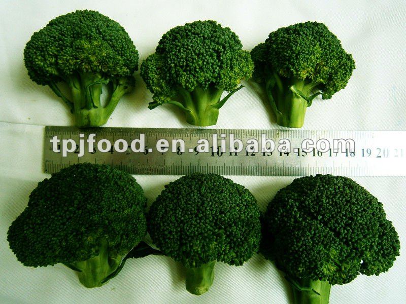 frozen broccoli florets (iqf vegetable) with FDA BRC,HALAL,KOSHER,HACCP