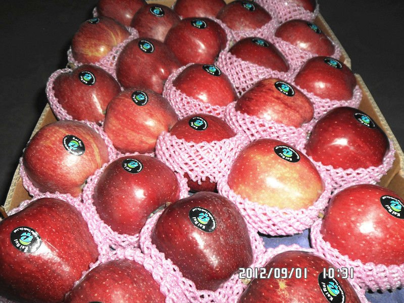 fresh fruit named huaniu from china