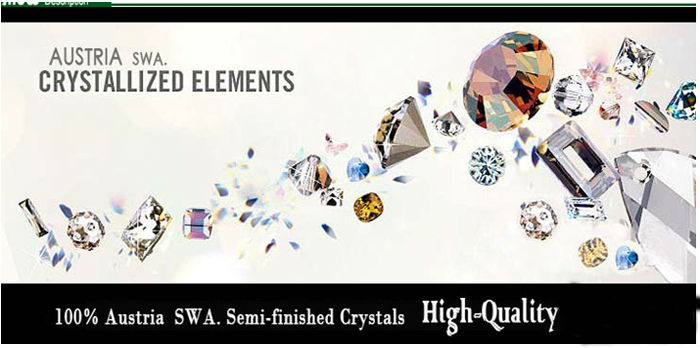 Austria swa element(20121209)