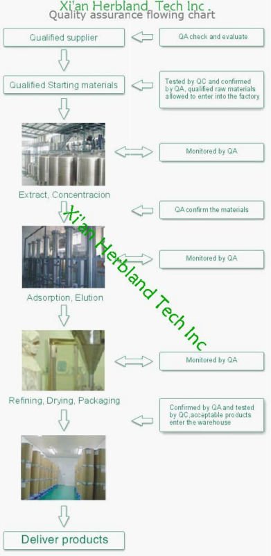 Gmp manufactory, Cocoa bean extracts