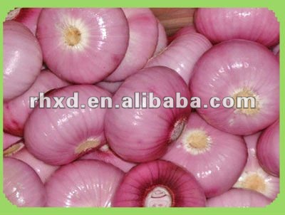 fresh red onion(2013 lowest price)