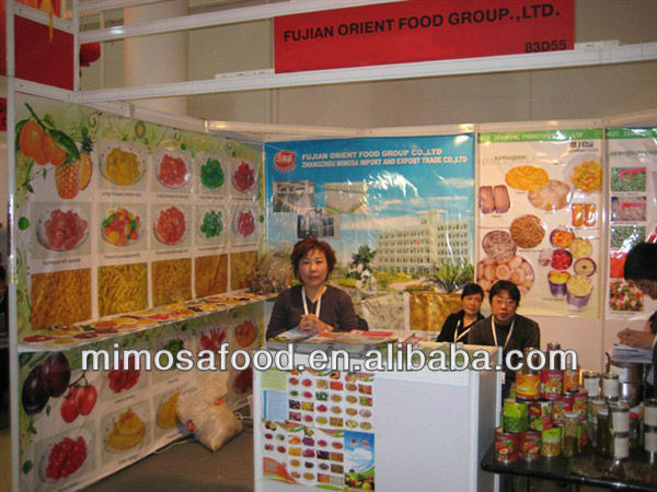 excellent dried kiwi,dried fruits