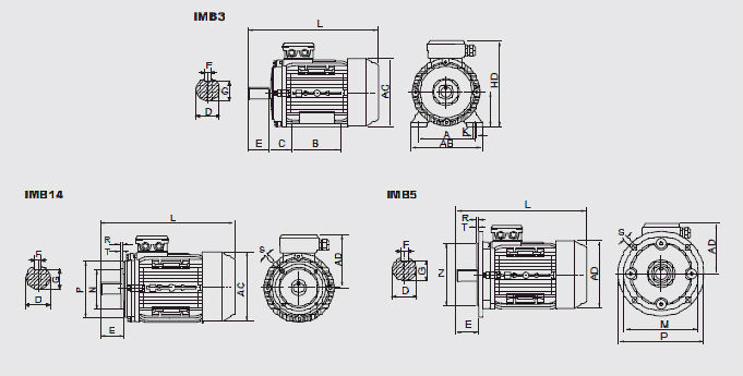 MS series 3 phase aluminium electric motors