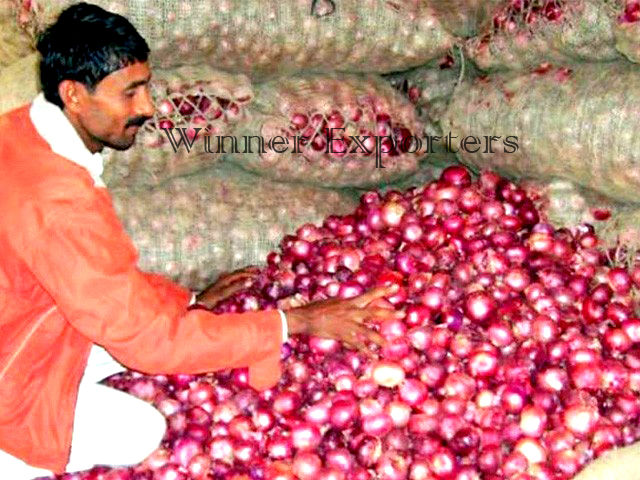 Onion Mesh Bag