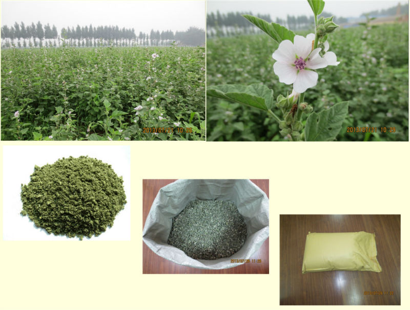 Herbal Cigarettes Dried Marshmallow Leaf Cut 2-5mm