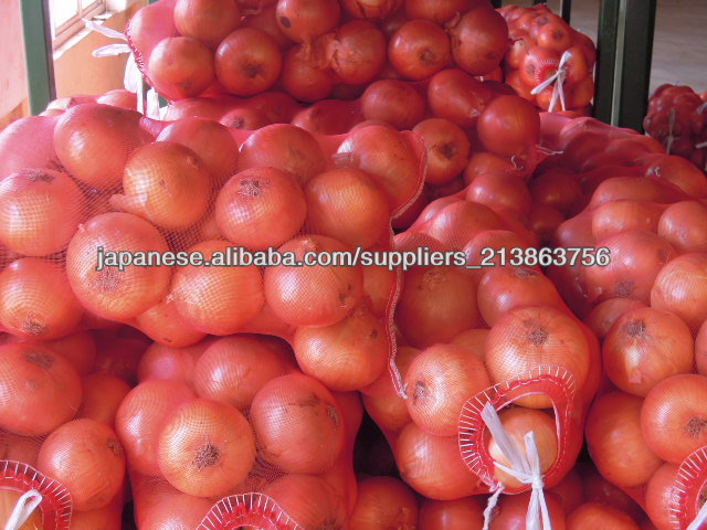 China Peeled Onion in Bulk for Export