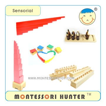 1.Sensorial