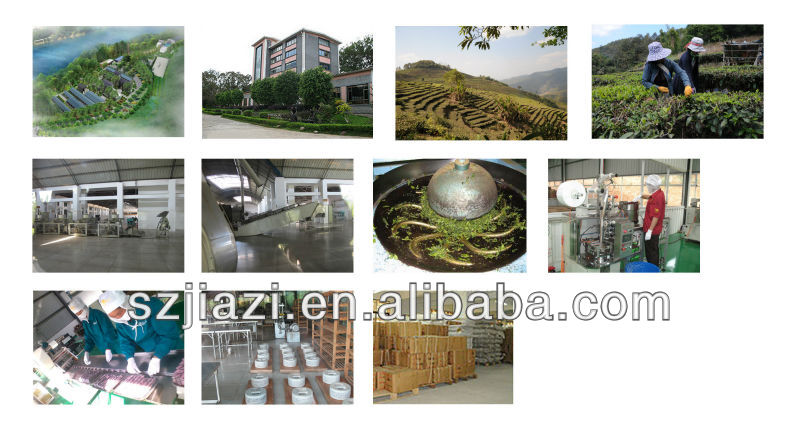 Puer Jasmine tea brands name