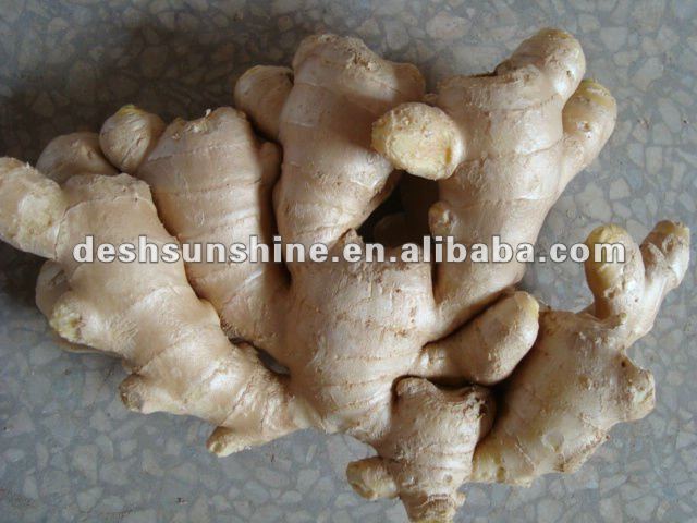 Grade A chinese air dry ginger(100-350g)