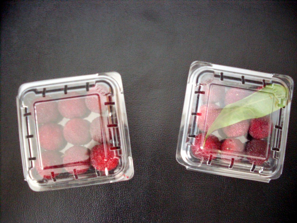 Red Wine Folding Box disposable transparent no-harm non-toxic plastic display container